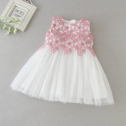 Baby Girls Floral Embroidered Tulle Dress (Age 3M-24M) Pink